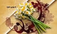 ولادت امام زمان و نیمه شعبان مبارک